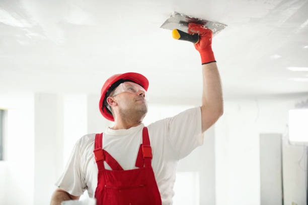 Best Repainting for Renovations  in Mccla, AL